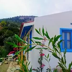 Mavi Kelebek * Datca