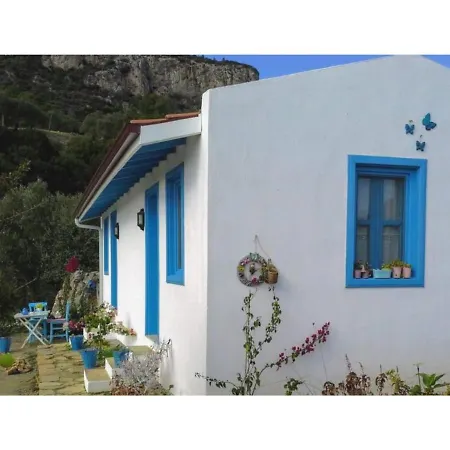 Mavi Kelebek * Datca