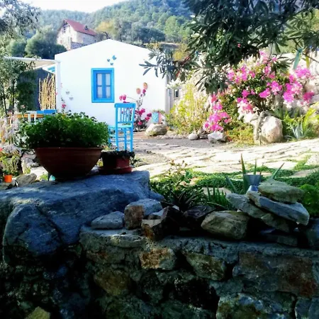 Hotel Mavi Kelebek *